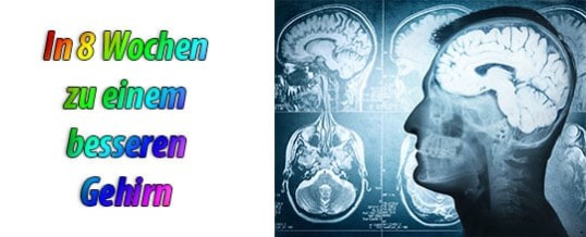 Durch Meditation in 8 Wochen zu einem besseren Gehirn – wissenschaftlich bewiesen