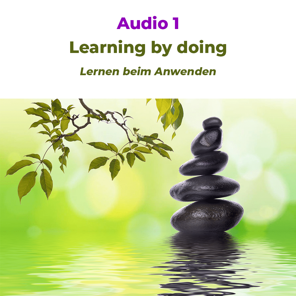 Dm-Harmonics-Meditation lernen-Audio-Cover Dm-Harmonics-Meditation lernen-Audio-Cover Learning by doing-lernen beim Anwenden
