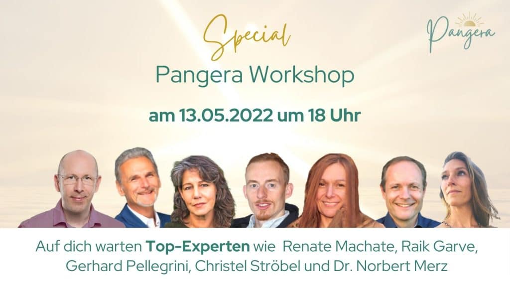 Dm-Harmonics-Pangera Workshops mit Experten