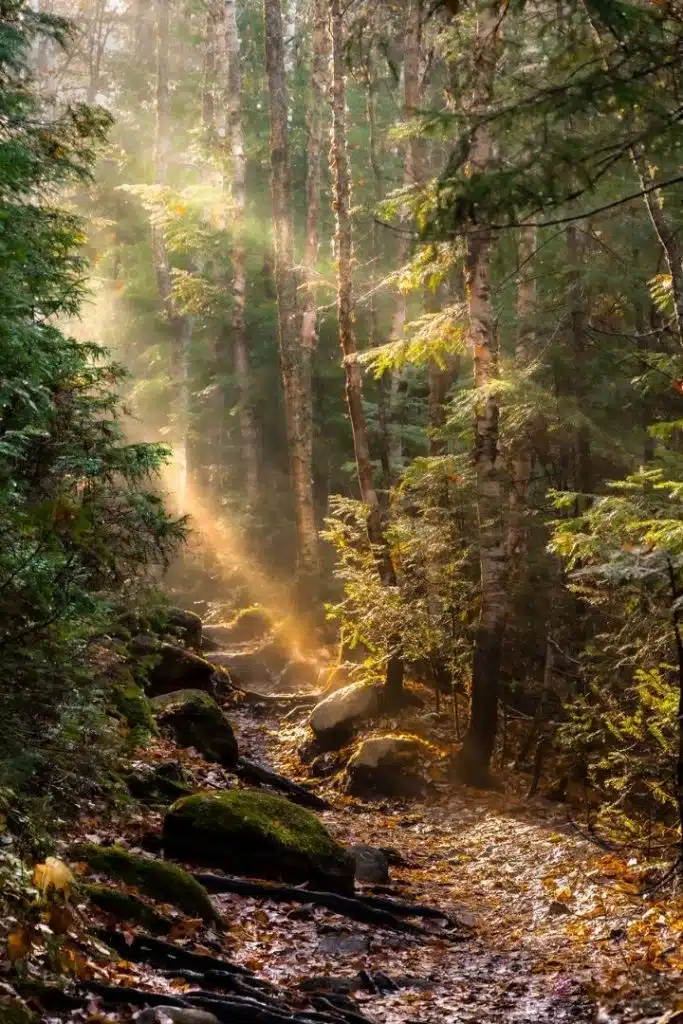 Altes Wissen mit Angelika Fauser