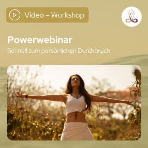 DMH Produktbilder powerwebinar