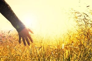 innerer-frieden-frau-feld-hand
